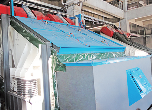 久久99精品久久久久久久不卡