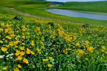 滤筒除尘器/脉冲布袋除尘器厂家博源科技-以微小之力，赴山河之约——共筑更美好的环保生活