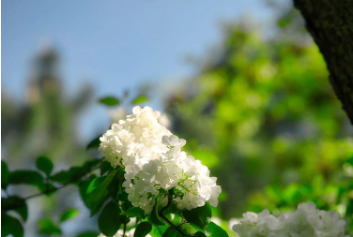 布袋除尘器/环保除尘设备厂家博源科技-春满人间，藏在春日里的美好生活！