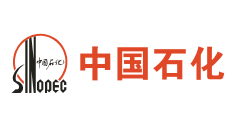 久久99精品久久久久久久不卡
