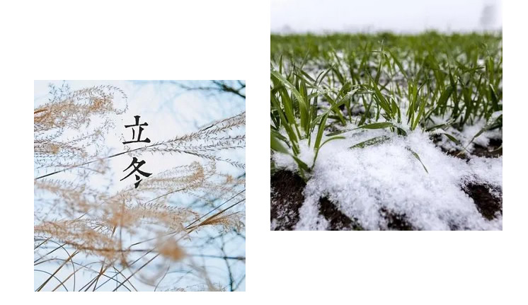 久久99精品久久久久久久不卡