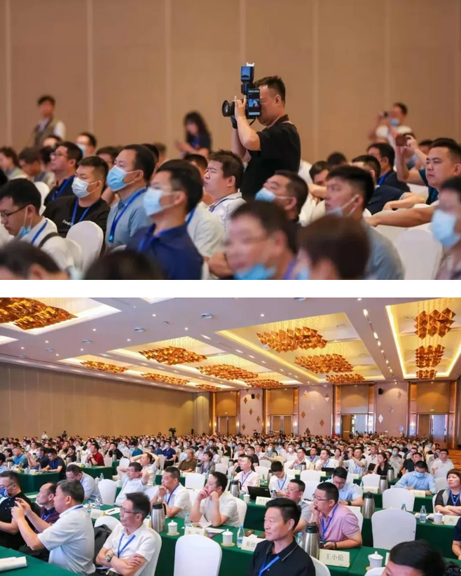 久久99精品久久久久久久不卡