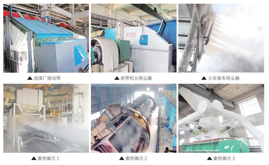 久久99精品久久久久久久不卡