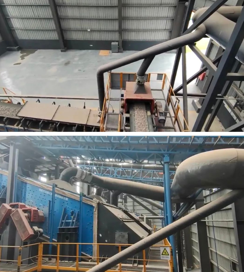 久久99精品久久久久久久不卡