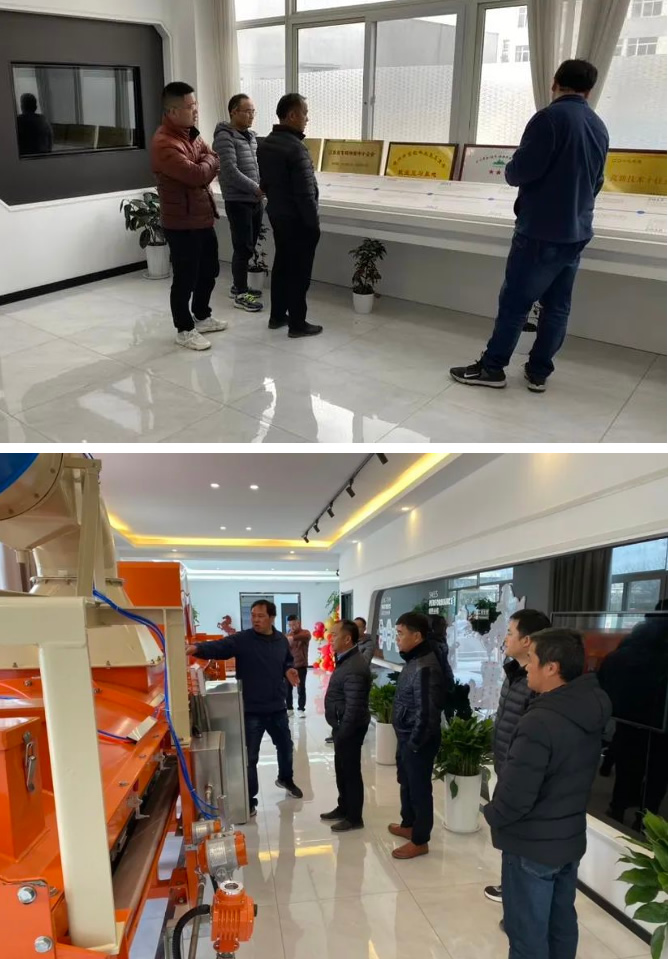 久久99精品久久久久久久不卡