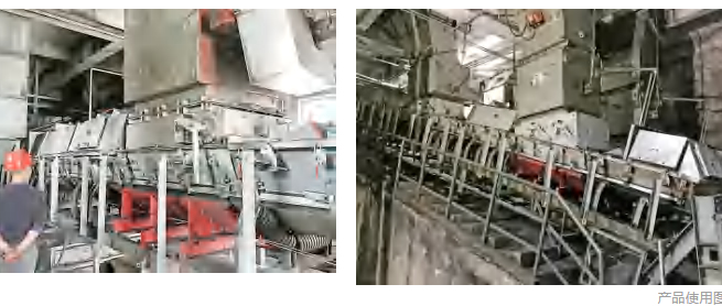 久久99精品久久久久久久不卡