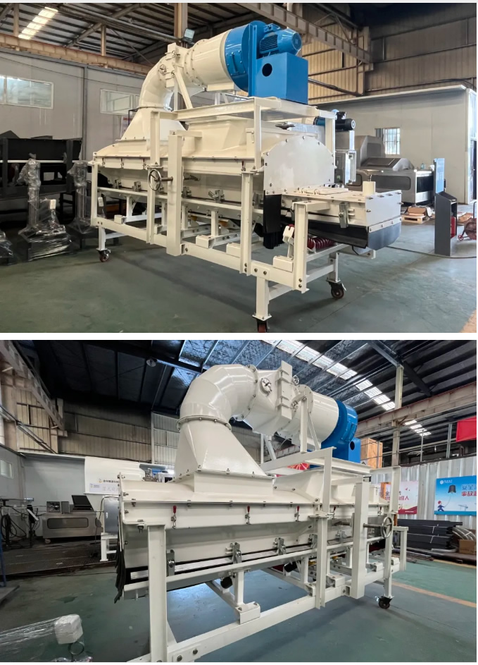 久久99精品久久久久久久不卡