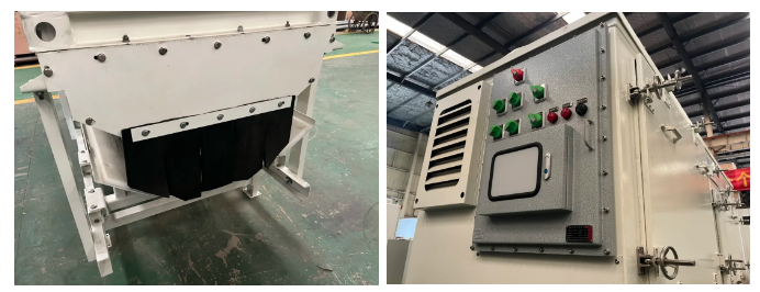 久久99精品久久久久久久不卡