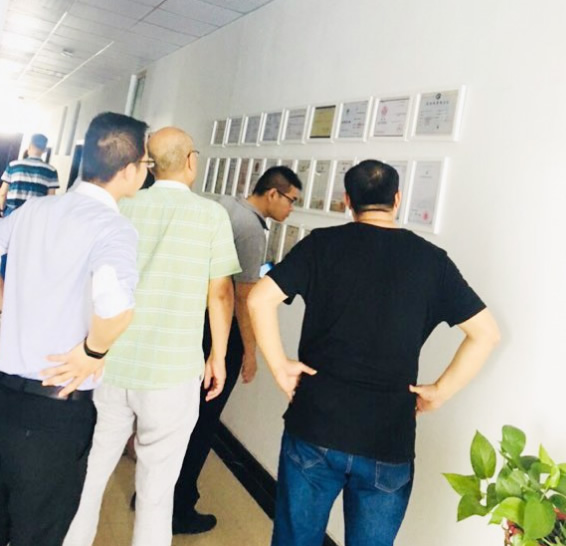 久久99精品久久久久久久不卡