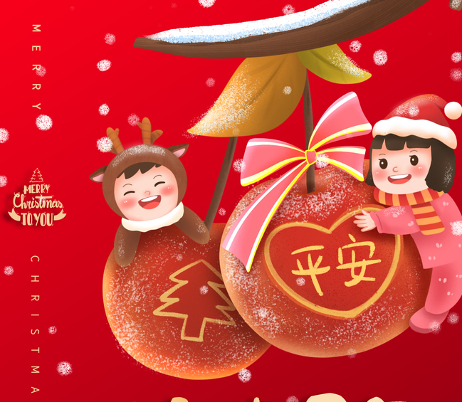 久久99精品久久久久久久不卡