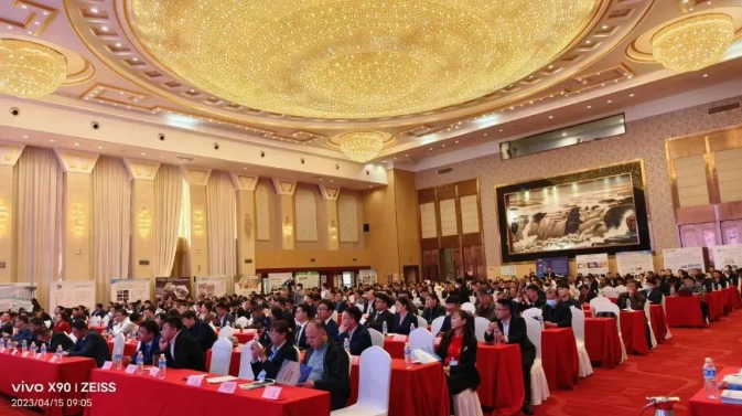 久久99精品久久久久久久不卡