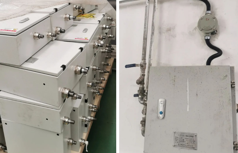 久久99精品久久久久久久不卡