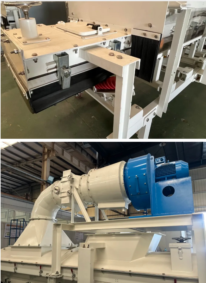 久久99精品久久久久久久不卡