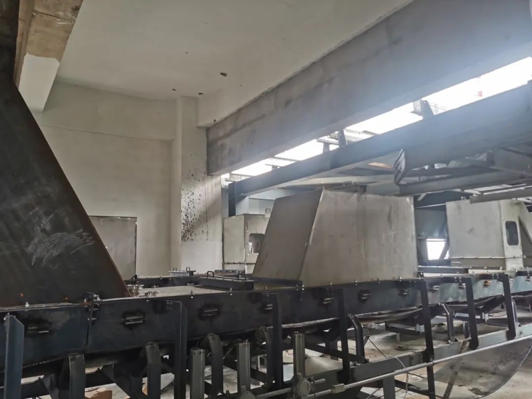 久久99精品久久久久久久不卡