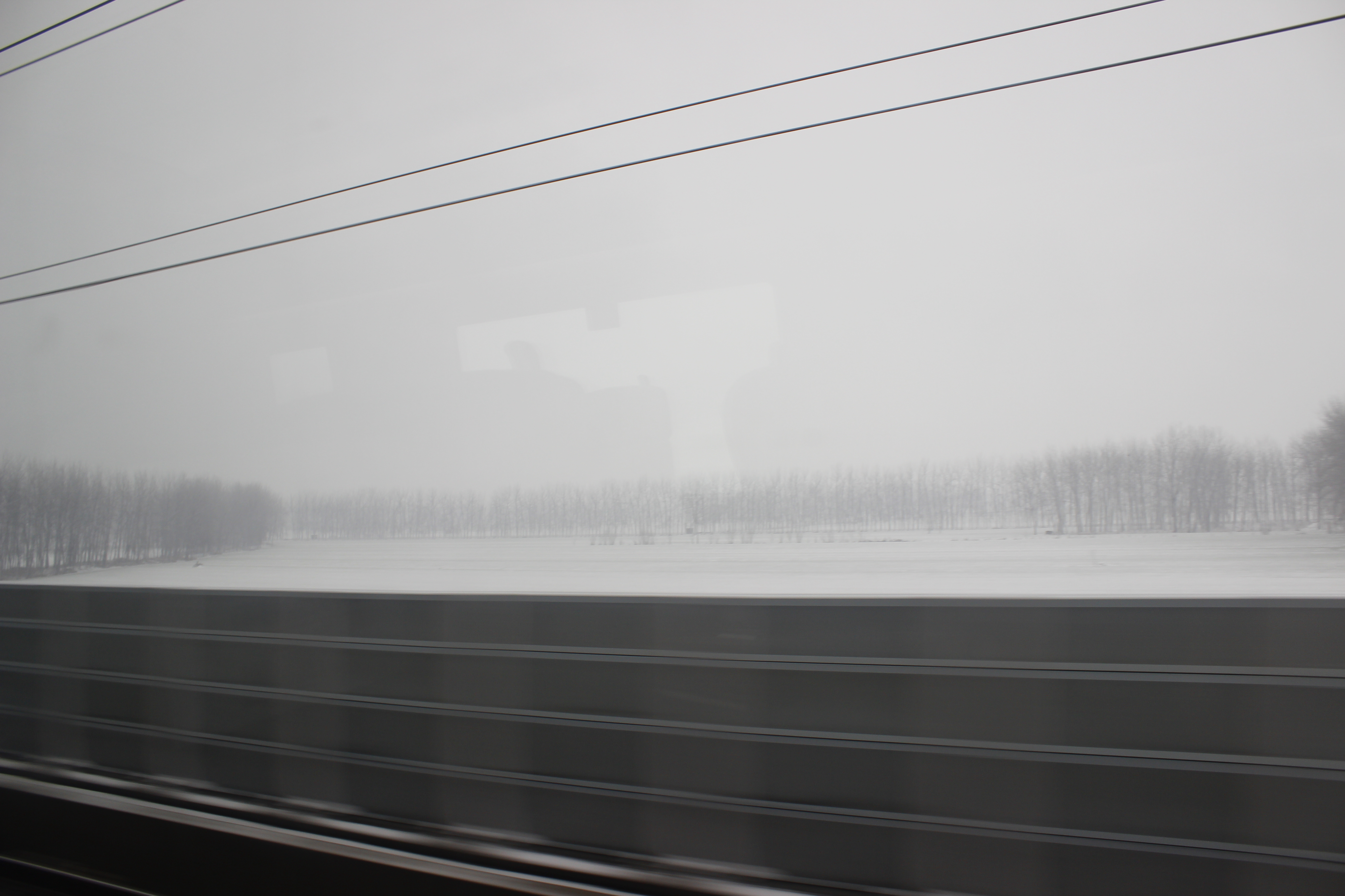 久久99精品久久久久久久不卡