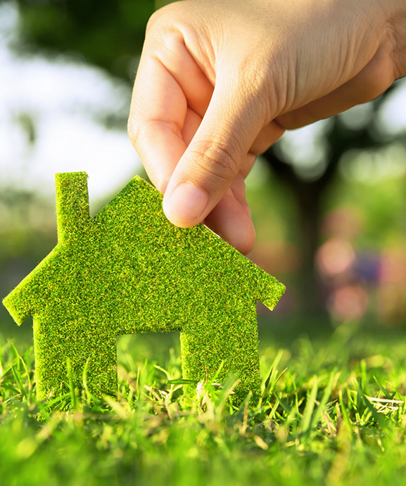 久久99精品久久久久久久不卡